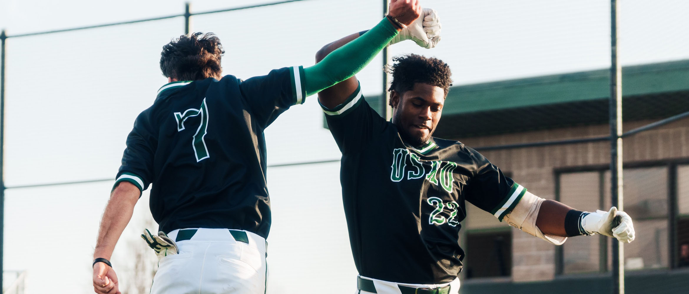 Homerun Celebration