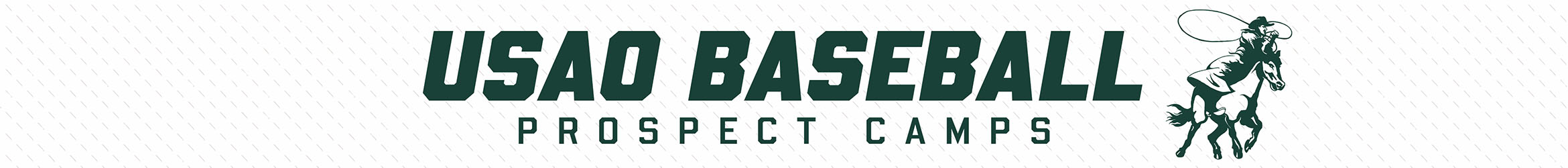 USAO Baseball Camps